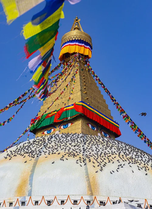 nepal