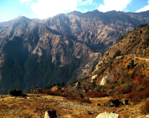 Ruby Valley Trek