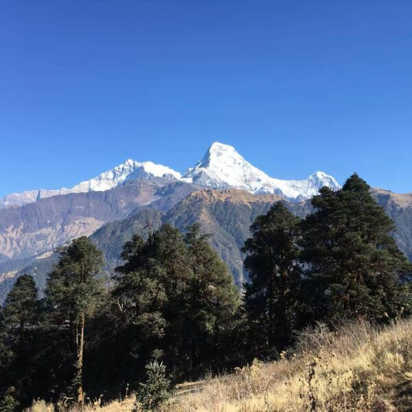 Khopra Danda Trekking