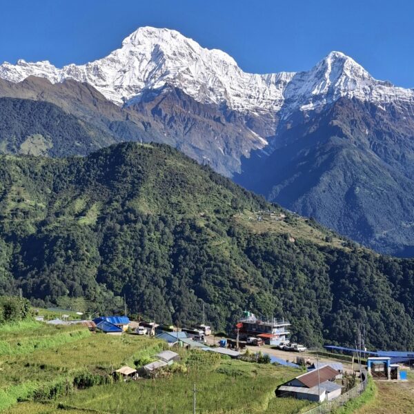 Poon Hill Luxury Trek & Tours