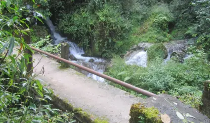 Treks in Nepal