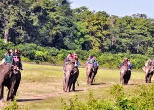 Koshi Tappu Wildlife Tour