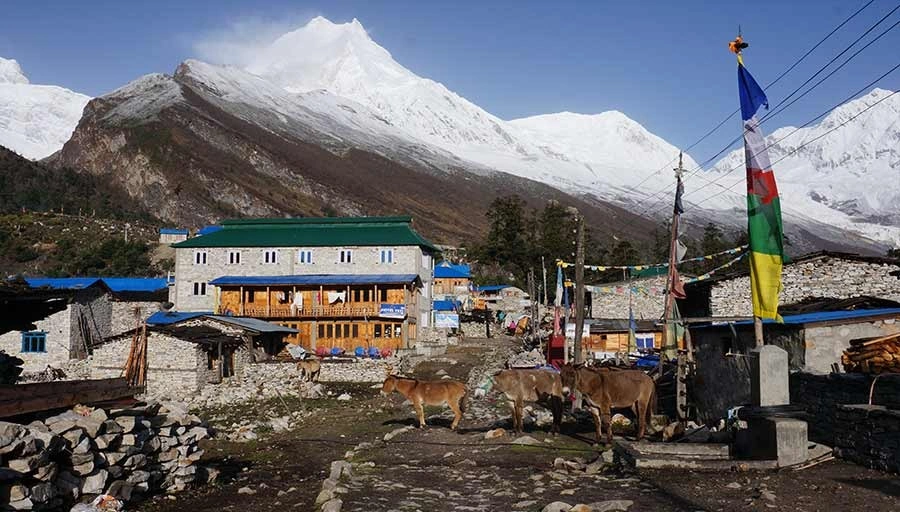 Manaslu Circuit Trek Lodges And Tea Houses