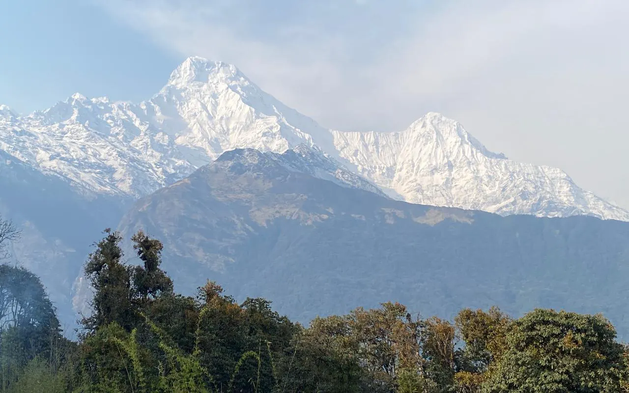 Mardi Himal Forest Trail