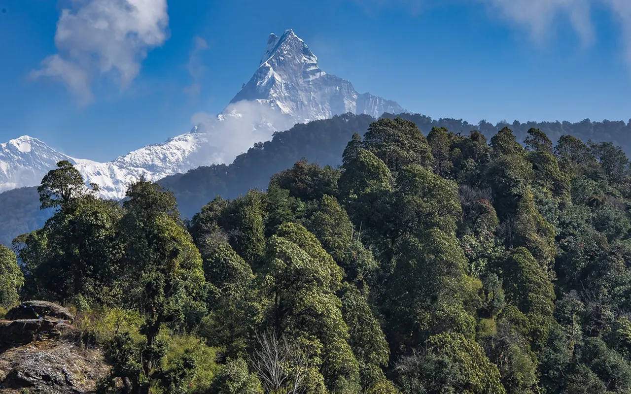 Mardi Himal Ridge Walk